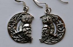 Lisa Parker Owl in Moon Earrings - Silver
