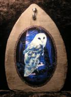 Mystic Owl Slate