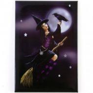 Witch on Broom Magnet - Lisa Parker