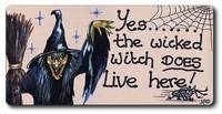 Yes The Wicked Witch Magnet