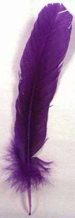 Purple Feather - Quill