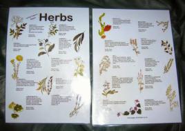 Herbs Guide