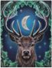 The Emperor Canvas Wall Plaque by Lisa Parker